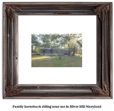 family horseback riding near me in Silver Hill, Maryland